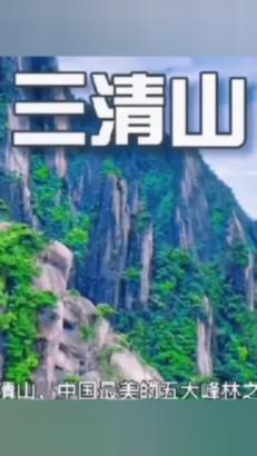 植物大战僵尸13